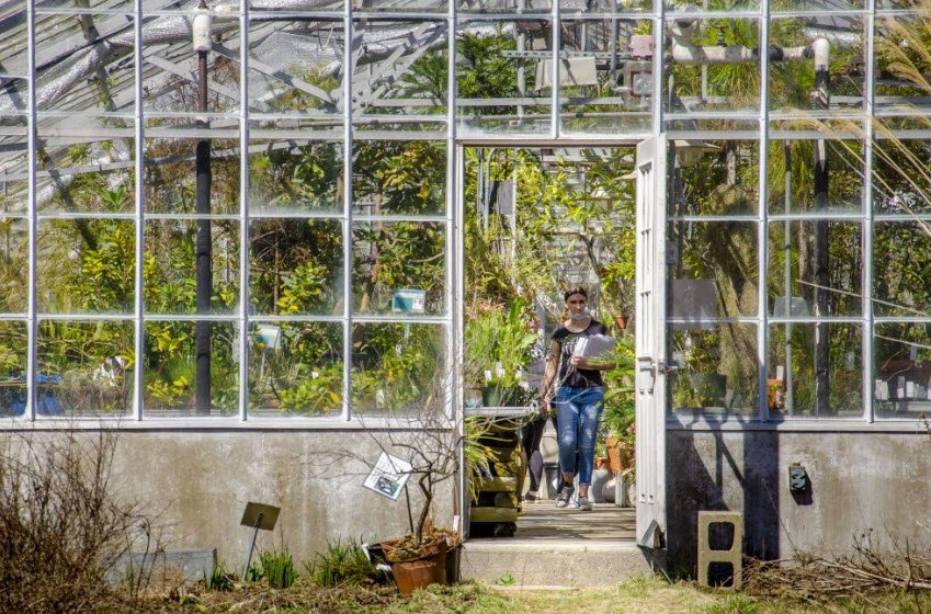 EEB Biodiversity Education and Research Greenhouses, United States